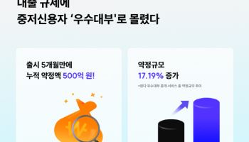 중·저신용자, 대출규제에 우수대부업체로 몰렸다…한도조회 7만건