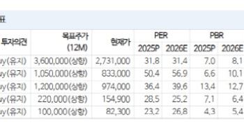 美 전력망 투자 확대 지속…효성중공업·LS ELECTRIC 최선호주-NH