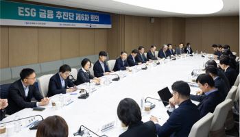 ESG, 양치기 소년의 외침인가