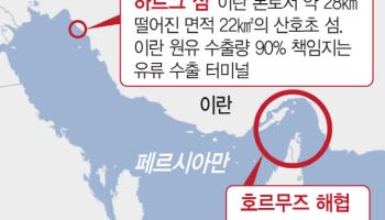 이란 “美 공격 시 페르시아만 전체 기뢰로 봉쇄” 경고