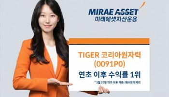 "AI 전력 수요↑·에너지 안보 부각"…'TIGER 코리아원자력 ETF' 연초 이후 수익률...