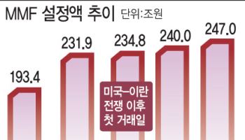 널뛰기 장세에 일단은 '관망'…MMF로 대기자금 급증
