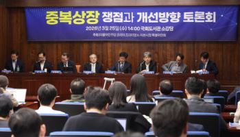 '중복상장 제한' 국회 논의 본격화…상반기 내 가이드라인 마련