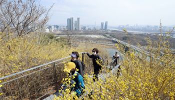 [목요일 날씨] 최고 기온 23도…포근한 봄날 이어져