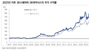 SK스퀘어, 매력적인 반도체 업황과 강력한 주주환원…목표가↑-NH