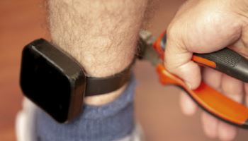 보석 석방 중 전자발찌 자르고 달아난 30대男…법원 판단은