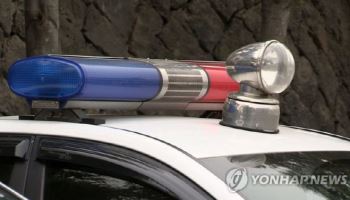 훔친 차 몰고 도주…순찰차 들이받은 10대 검거