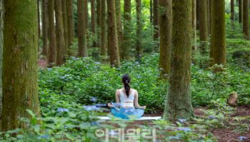 하이원리조트, 우수 웰니스 관광지 4회 연속 선정