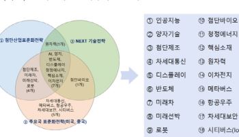 정부, AI·미래차·로봇 등 핵심산업 ‘K표준’ 청사진 제시