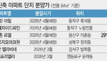 비강남 국평 분양가가 28억…비싸도 이어지는 ‘완판’ 행렬
