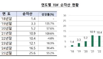 금감원 "TDF 순자산, 8년간 18배 급증…미국 투자 쏠림 뚜렷"