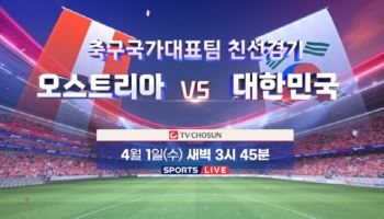 TV조선, 한국vs오스트리아 생중계…구자철 "홍명보 명확하게 보여줘야"