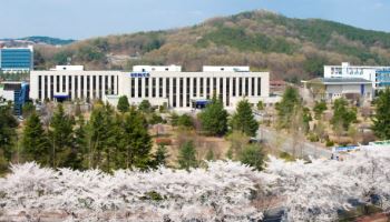 조폐공사, 벚꽃 페스티벌 취소…안전공업 화재참사 여파