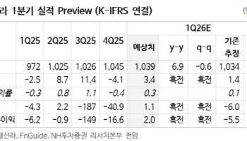 호텔신라, 인천공항 DF1권역 등 영업 종료로 면세점 이익 개선 가능-NH