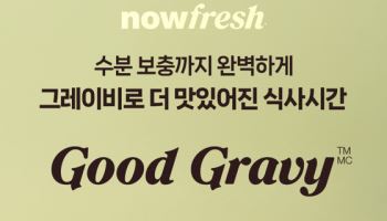 이글벳 반려동물 사업부 하루웰, '나우프레쉬 굿그레이비 캣' 출시