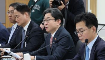 주담대 따로 묶고 다주택자 압박…부동산 자금줄 전방위 차단