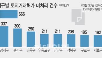 양도세 중과 앞두고 ‘토허제 속도전’…재산조회 하루로 단축 검토