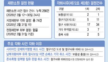 재판소원, '단순불복'은 불허…기본권 침해 명백성에 달려