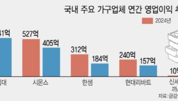 부동산 침체·고환율·신흥강자 등장...가구업계, 영업익 두자릿수 '뚝'