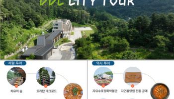 동두천 벚꽃·숲 버스로…市,  '시티투어' 4월부터 운행