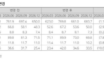코스맥스, C뷰티 글로벌 확장 수혜…목표가↑-다올