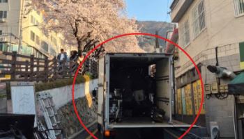 "1년 기다렸는데"…벚꽃길 막고 드라마 '민폐 촬영' 논란