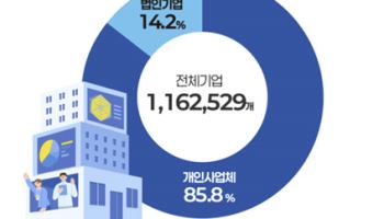 1인 창조기업 116만개…1년새 15%↑
