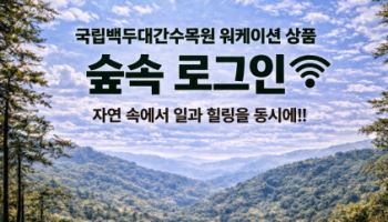 "백두대간 숲에서 업무와 힐링을 동시에"