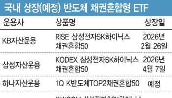 삼전닉스에 쏠린 눈…채권혼합 ETF도 판 커진다