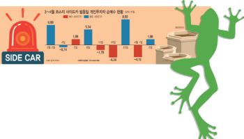 "매도 사이드카 울리면 줍줍"…청개구리 개미들