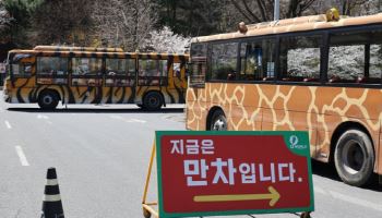 "늑대 탈출했다" 대전 오월드 동물원 비상…포획 작업 총력