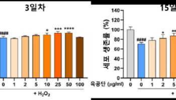 자생한방병원, ‘육공단’ 해마 신경세포 보호 효과 ·  기전 규명