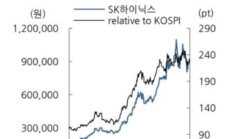 "SK하이닉스, 조정은 매수 기회"…목표가 ↑-DS