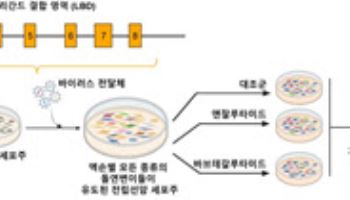전립선암, 약물 치료 효과 예측 가능해진다