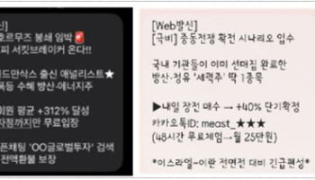 “급락장에 물리셨나요”…금감원, 불법금융 스팸문자 AI로 감시한다