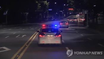 무면허 렌터카 운전···행인 치고 달아난 20대 구속