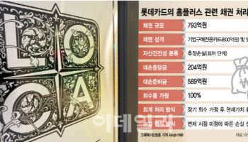 MBK에 발목 잡힌 롯데카드, 홈플러스 채권 ‘전액 부실’ 현실화