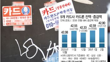 카드론 잔액, 역대 최대치 43조원 근접…연체율 3% 고착화