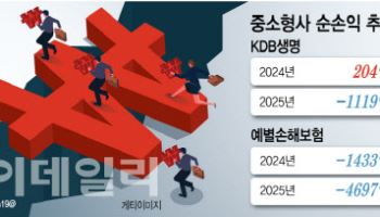 손해율·해지 증가 직격탄 맞은 중소형사, 수익성 반전카드 없어 M&A 시장서 외면