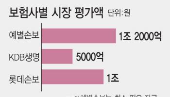 보험사 매물 줄줄이 나오는데, 시장선 대형사 아니면 시큰둥