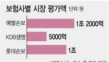 KDB생명 매각 재시동에 예별손보·롯데손보까지 ‘보험사 M&A’ 들썩