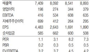 현대지에프홀딩스, 자회사 효율화 효과가 실적 개선 주도…목표가↑-흥국