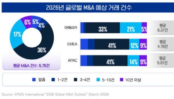 M&A, 속도보다 실행력···“‘카브아웃’이 판 바꿀 것”