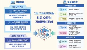 대통령 직속 격상한 규제합리위…연내 메가특구특별법 제정