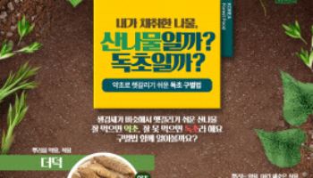 산림청·식약처 "봄철 산나물 닮은 독초 조심하세요"