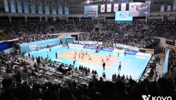 프로배구, 사상 첫 관중 63만 명 돌파... 평균 시청률도 상승