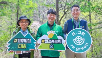 “숲으로 탄소 잡는다”…현대백화점, ESG 산림 '확' 넓힌다