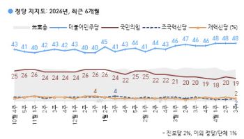 민주당 48% 국힘 19%…지선서 與후보 당선 '더블스코어' 근접