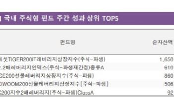 1주 수익률 26%…육천피 탈환에 ‘레버리지’ 개미 웃었다[펀드와치]