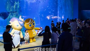 용감한 쿠키 따라 바닷속 탐험…쿠키런 축제에 방문객 27% ↑